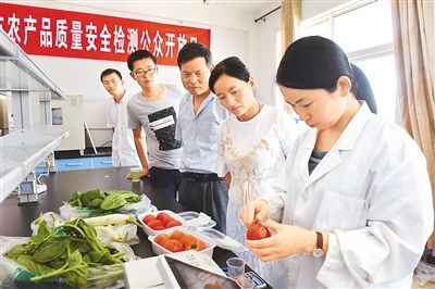 安徽省巢湖市市民体验农产品检测