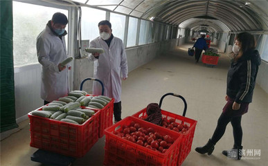 滨州日检日报蔬菜质量确保产品安全