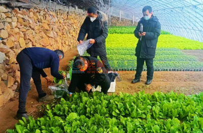 抚顺农业执法开展节日期间农产品质量安全监督检查